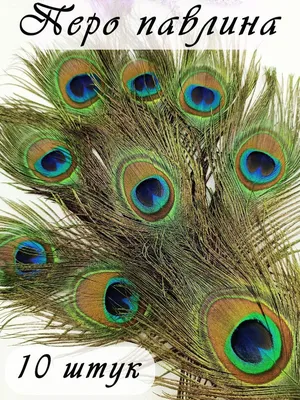 Ткань перья павлина - интернет-магазин ткани Zigzag в России