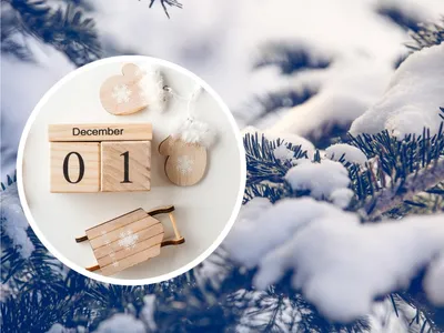 Перший день зими 1 грудня 2020 - прикольні картинки, листівки - короткі  привітання, смс - Апостроф