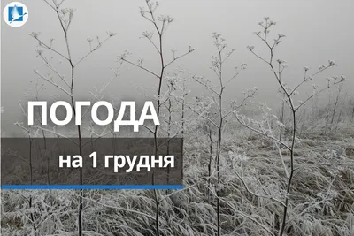 Поздравления с первы днем зимы в стихах, прозе и открытках - Главред