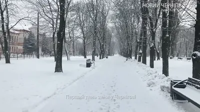 Зимы в Украине могут стать теплее - прогноз синоптика | РБК Украина