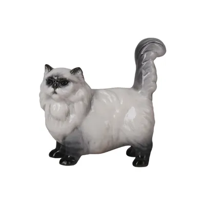 Белый персидский кот стоковое фото. изображение насчитывающей ориентации -  32729164