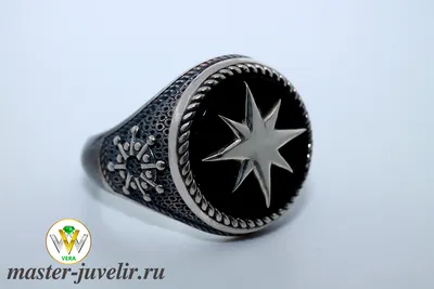Мужской перстень с черным камнем – Silver Monarh