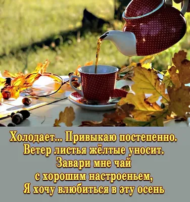 Открытки «Провожаем осень» на Иванов день 1 ноября