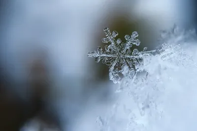 В северной части Волгоградской области выпал первый снег - OBLVESTI.RU