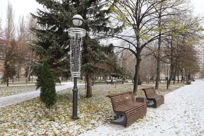 Когда выпадет первый снег в Центральной России — ответ синоптика — Сноб