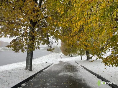 Обои октябрь, деревья, дорога, первый снег, листья, осень на рабочий стол
