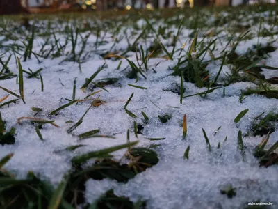В воскресенье в Беларуси выпал первый снег