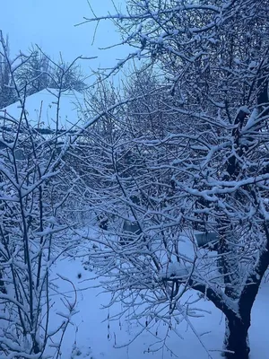 Самый ранний первый снег в Москве | moscowwalks.ru