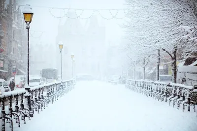 Первый снег в Санкт-Петербурге | РИА Новости Медиабанк