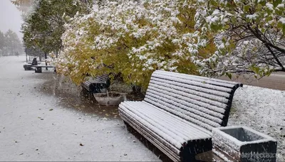 Первый снег выпал в ВКО | КТК
