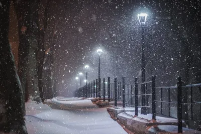 Картинки ранняя зима, практически первый снег, в городском парке - обои  1280x1024, картинка №47838