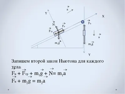 1. Установите соответствие. [3] 1 мин 2 ЗАКОНЫ 1 закон Ньютона 2 закон  Ньютона 3 3 закон Ньютона А - Школьные Знания.com