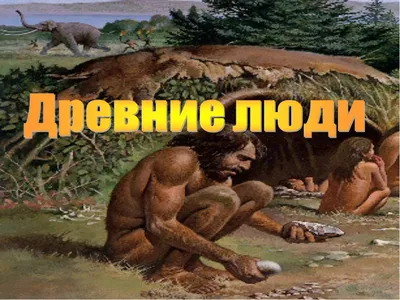 Наши дальние родственники, возможно, впадали в спячку. Ученые нашли  характерные следы на костях древних людей