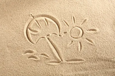 Песок: факторы, влияющие на качество песка | Доставка-Щебень