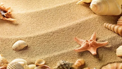 Морской песок - Полезные материалы от Юником