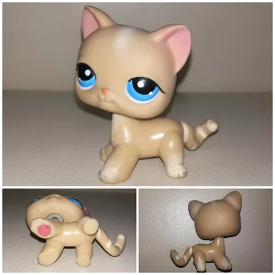 Littlest pet shop, LPS кошка стоячка с магнитом – купить в Москве, цена 900  руб., продано 18 марта 2019 – Игрушки и игры