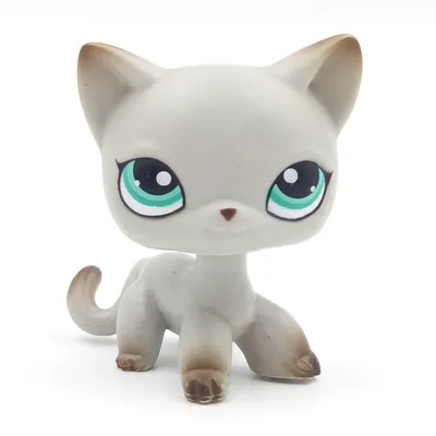 Редкие животные магазин милые игрушки кошка Мини короткие волосы стоя Серый  #5 #391 черный #336 старый оригинальный аниме фигурка игрушки для детей |  AliExpress