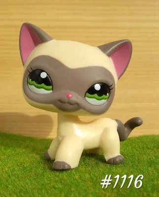 LPS CAT Littlest pet shop игрушки 1 Милая Короткая шерстяная кошка с 5  аксессуарами детская коллекция поплавок головы игрушки | AliExpress
