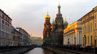 Обои санкт-петербург, питер, россии, st. petersburg, saint petersburg для  рабочего стола #65476