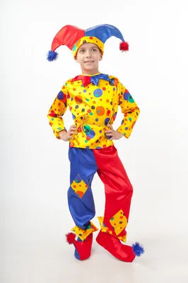 Карнавальный костюм Петрушки для мальчика: головной убор, сорочка, брюки  (Россия) купить в Калининграде