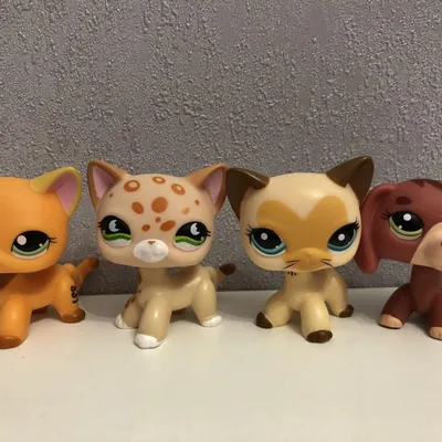 Стоячки петшоп (lps, Littlest Pet Shop): 600 грн. - Коллекционирование Киев  на Olx