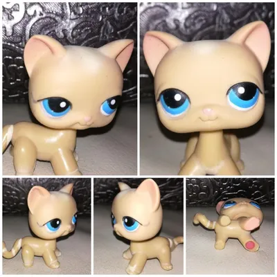 Коллекционная фигурка - Littlest Pet Shop петшоп lps лпс Цена за лот купить  в Шопике | Раменское - 1042038