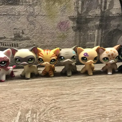 Littlest Pet Shop кошка стоячка LPS чёрный кот – купить в Зеленограде, цена  500 руб., продано 25 марта 2018 – Игрушки и игры