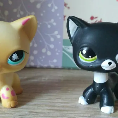 Собачка такса бычок lps littlest pet shop стоячки hasbro - купить недорого  б/у на ИЗИ (26120526)