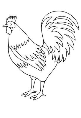 Книжка-раскраска петуха для взрослого, символа зодиака цыпленка китайского  Нового Года Печать футболки дизайна, поздравительная о Иллюстрация штока -  иллюстрации насчитывающей черный, петушок: 80487586