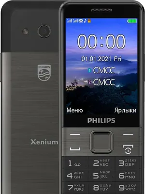 Мобильный телефон Philips Xenium E590 (черный) купить в Минске, цена