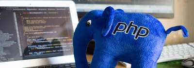 Как работает PHP — Техническая поддержка — NetAngels