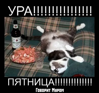 УРА, ПЯТНИЦА!! | By AdMe | Facebook
