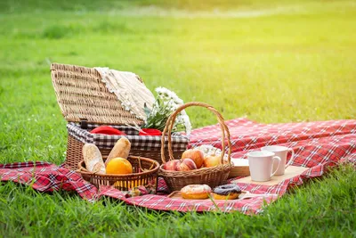 Your Eco-Friendly Picnic