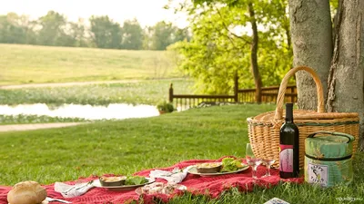 Как организовать красивый пикник на природе: 5 простых советов | myDecor