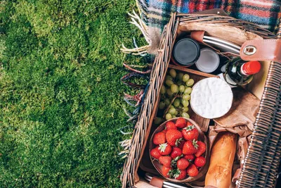 30+ Company Picnic Ideas to Kick Off Your Summer Outdoor Events - Thriver  Blog