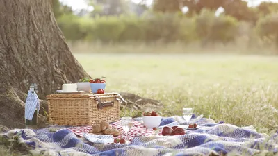 Picnic Time Family of Brands - Premium Products for Making Memories