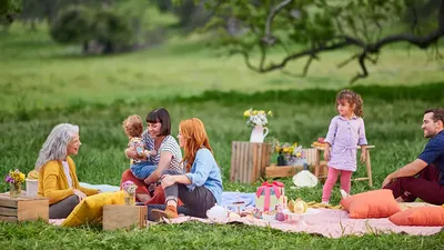 This Summer, Picnicking Trends Are All About Glamour and Sustainability