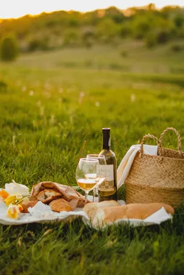 Romantic Picnic Pictures | Download Free Images on Unsplash