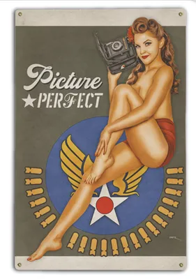 PICTURE PERFECT NOSE-ART PIN-UP---METAL SIGN - Pin-Ups For Vets Store