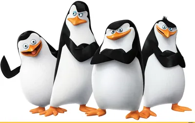 Пингвины устроили массовый побег из зоопарка в Дании / пингвины мадагаскара  :: новости :: пингвины / смешные картинки и другие приколы: комиксы, гиф  анимация, видео, лучший интеллектуальный юмор.