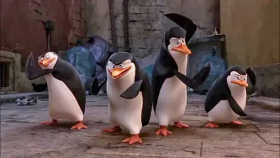 Озвучка пингвинов Мадагаскара - Народный КиноЛяп - YouTube