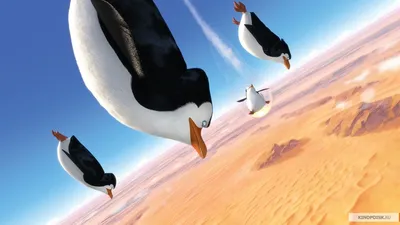 Пингвины мадагаскара против Осминогов | Пингвины Мадагаскара (2014) -  YouTube