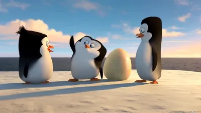 Пингвины Мадагаскара (Мультфильм-DVD) | AliExpress