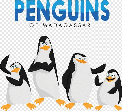 Пингвины Мадагаскара 2014 - Трейлер на русском - YouTube