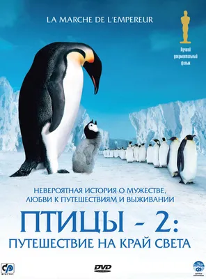 Что общего у пингвинов с украинцами? — ЛИБЕРАЛ