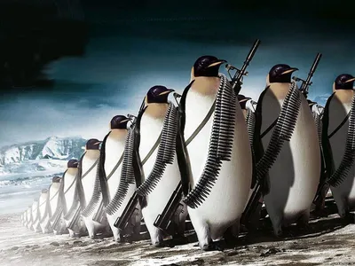 Картинка Смешные Пингвины пули