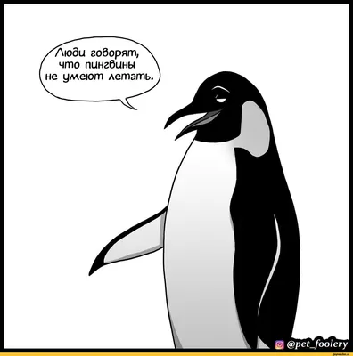 пингвины / смешные картинки и другие приколы: комиксы, гиф анимация, видео,  лучший интеллектуальный юмор.