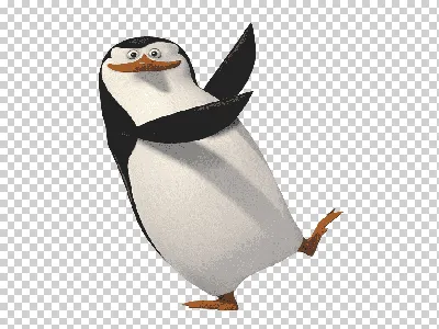 Картина на холсте (пингвина, пингвины фотографии, маленький пингвиненок,  забавные пингвины животные) 30x40 интерьерная в комнату на стену в спальню  - купить по низкой цене в интернет-магазине OZON (620950772)