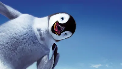 Смешные пингвины | Funny penguins | Подборка приколов - YouTube