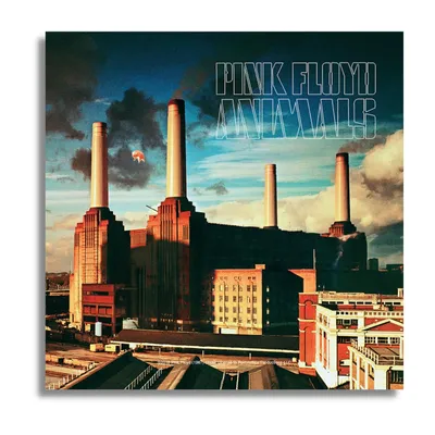 Animals Magnet | Shop the Pink Floyd Official Store